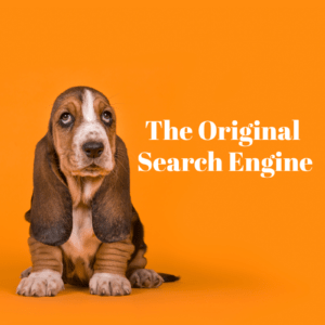 Search Engine Optimization (SEO)